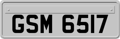 GSM6517