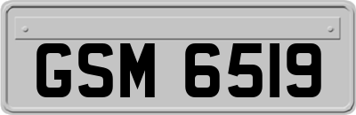 GSM6519