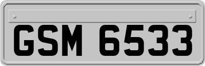 GSM6533