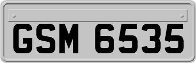 GSM6535