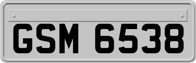 GSM6538