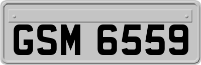 GSM6559