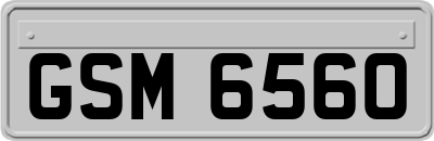 GSM6560