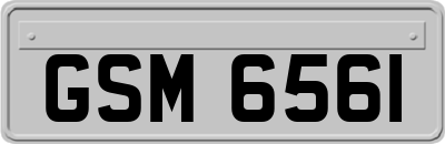 GSM6561