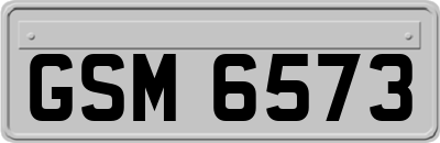 GSM6573