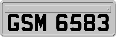 GSM6583