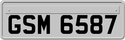 GSM6587