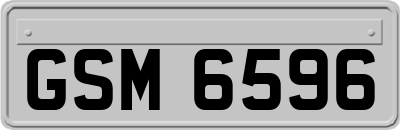GSM6596