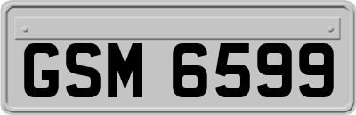 GSM6599