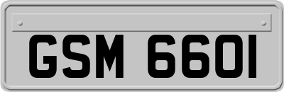 GSM6601