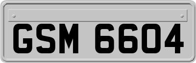 GSM6604