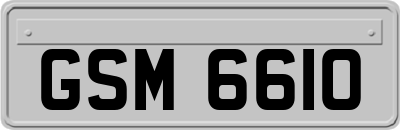 GSM6610