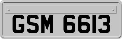 GSM6613