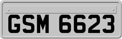 GSM6623