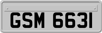 GSM6631