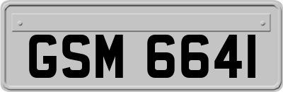 GSM6641