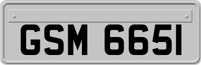 GSM6651