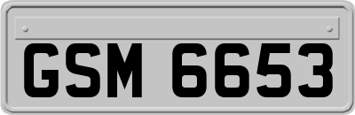 GSM6653