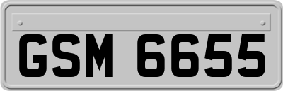 GSM6655