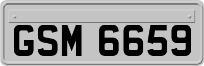 GSM6659