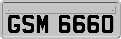 GSM6660