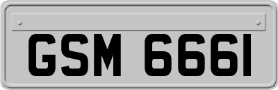 GSM6661