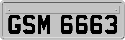 GSM6663