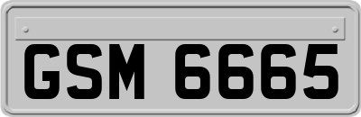 GSM6665