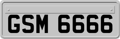 GSM6666