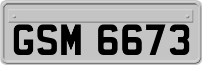 GSM6673