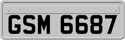 GSM6687
