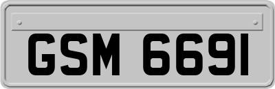 GSM6691