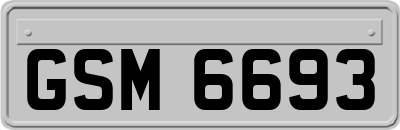GSM6693