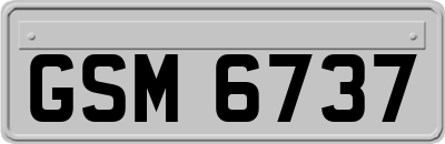 GSM6737