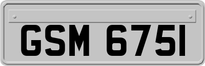 GSM6751