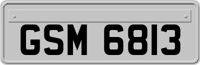 GSM6813