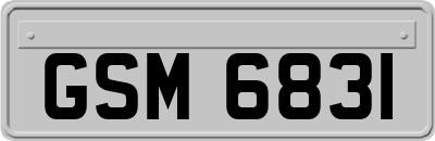 GSM6831