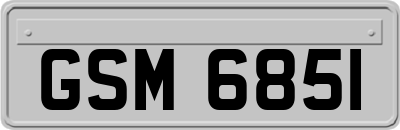 GSM6851
