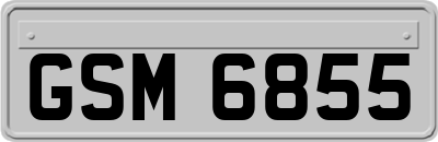 GSM6855