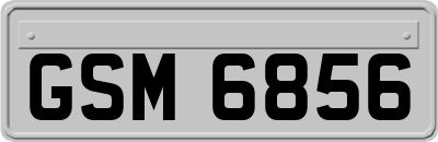 GSM6856