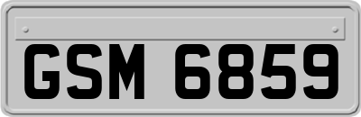 GSM6859