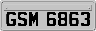 GSM6863