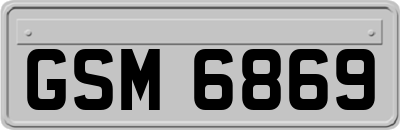 GSM6869