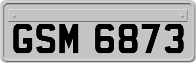 GSM6873