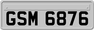 GSM6876