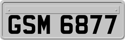 GSM6877