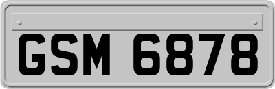 GSM6878