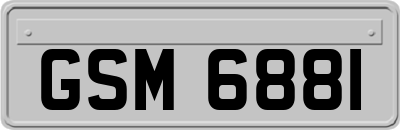 GSM6881