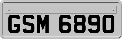 GSM6890