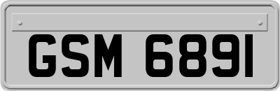 GSM6891